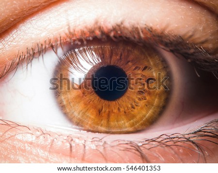 human eye close up Royalty-Free Stock Photo #546401353