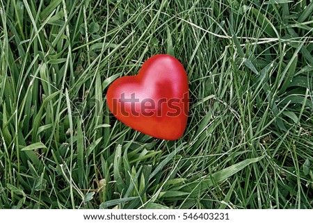 Red heart on green grass - Background for Valentine Day