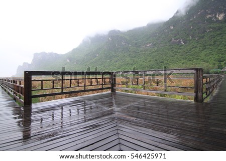 wooden bridge in rainy season.