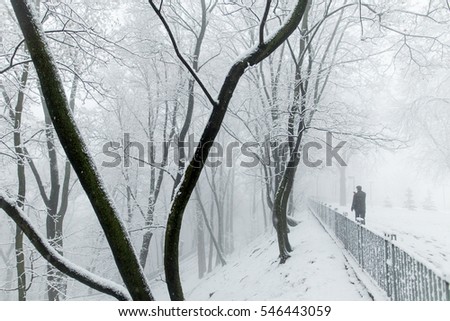 a snow blizzard foggy morning silhouettes of passers citizens walking under the snow-covered trees in the background of the cold urban park, man takes pictures on your phone