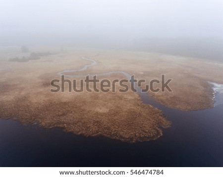 Aerial view over a brown swamp connecting with a lake. Valley covered with fog.