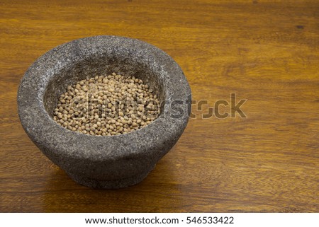 Coriander seeds in mortar stone