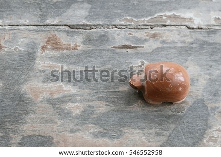 little turtle on old wood floor background