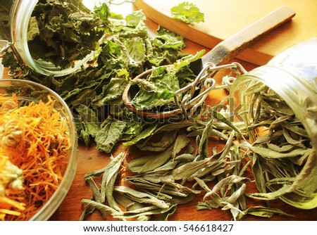 Dried herbs  prepared for tea
