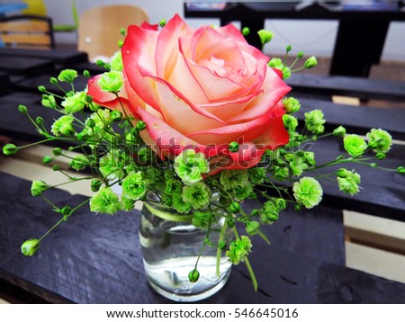 Pink rose and gypsophila paniculata in a vase on a old wooden table
