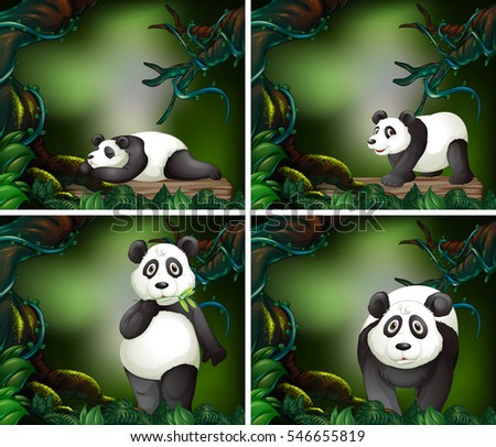 Panda in the dark forest illustration