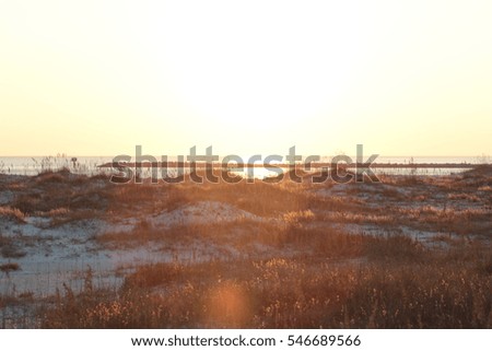 orange beach alabama gulf shores, sunset on beach with grass
