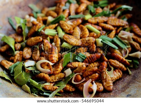  Frying Pupae Cooking the silkworm pupae in Thailand