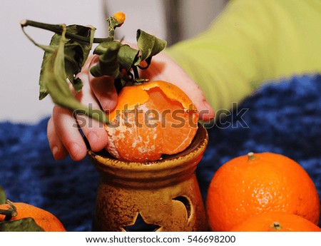 Children's hand holding a Mandarin
