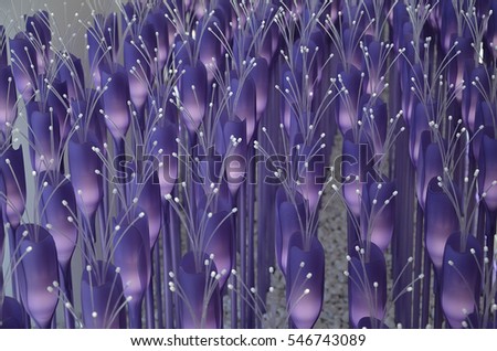 field of purple lights