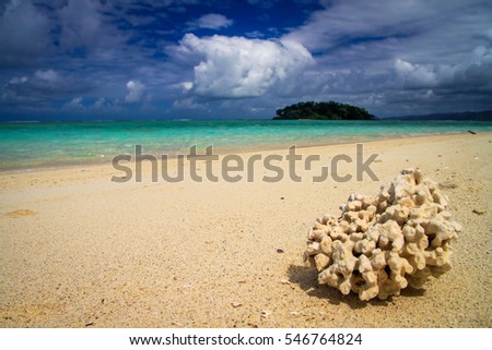 Single coral on the beach on the Nosy Antafa island natural reserve and national pak