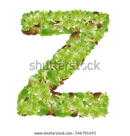 Letter Z alphabet with hydroponics leaf  ABC concept type as logo isolated on white background 