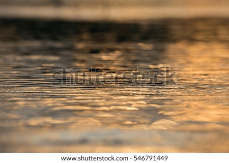 water reflections, golden hour