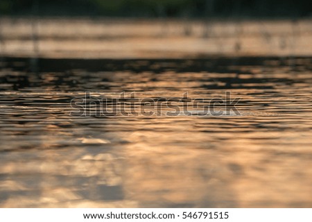 water reflections, golden hour