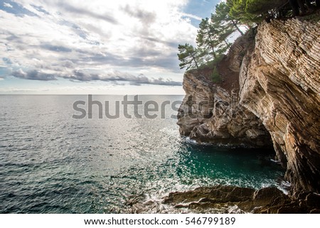 pine trees and rocks on the shore of the Adriatic Sea 