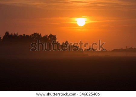 Summer sunset and fog