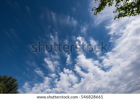 Blue sky with cloud and maple leaves at corner.