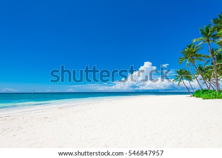 Paradise nature, sea on a tropical beach with green tree