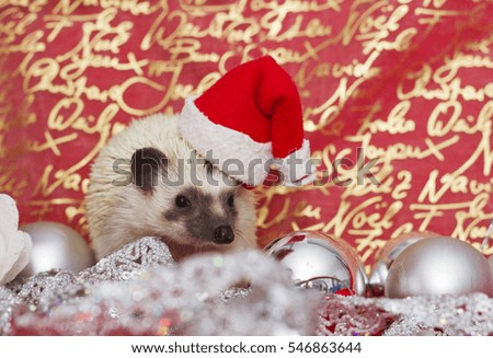 fun and cute hedgehog Santa Claus on Christmas background
