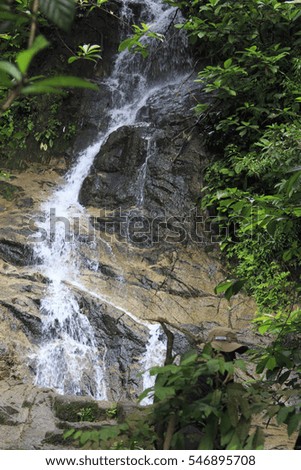 A perspective view of a tropical waterfall flowing through the tropical green forest with rock cover with moss and a person behind a bush taking picture for nature image background and time lapse