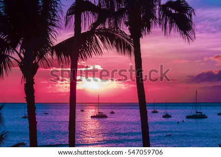 Hawaii Seascape with palm trees and sailing yachts in silhouette.