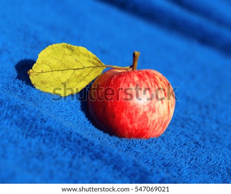 Photo of bright red apples on a blue background