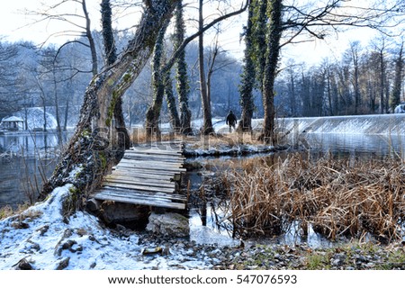 Winter natural outdoor landscape photography.