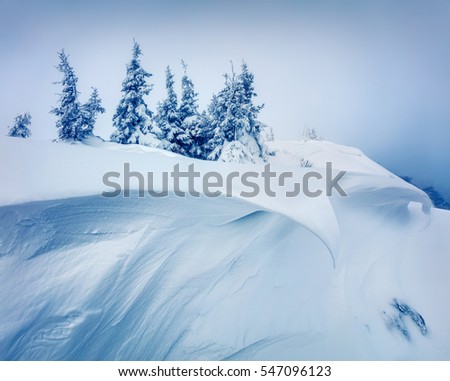 Huge mounds of snow in Carpathian mountains. Beautiful outdoor scene, Happy New Year celebration concept. Artistic style post processed photo.