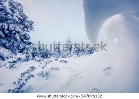 Huge mounds of snow in Carpathian mountains. Beautiful outdoor scene, Happy New Year celebration concept. Artistic style post processed photo.