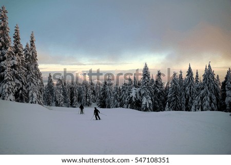 Winter landscape on Grouse Mountain, with Greater Vancouver in the background
