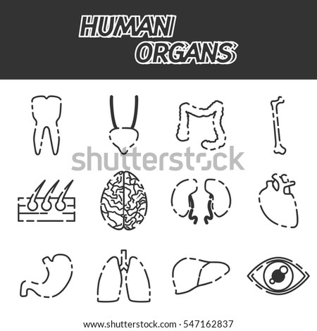 Human organs icons set.