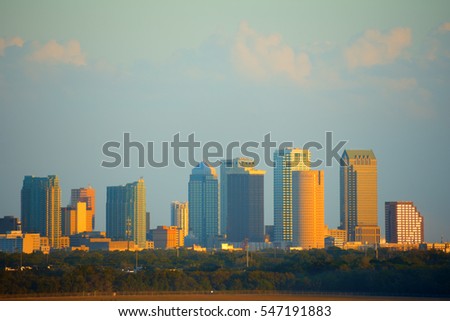 Tampa, Florida, skyline with warm sunset light viewed from the Tampa International Airport with tree line in the foreground.