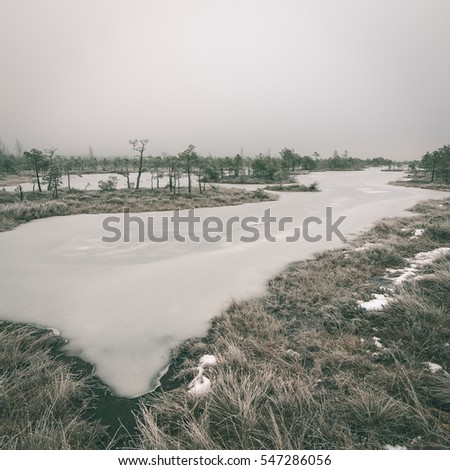 snowy landscape in frosty winter bog in country side - instant vintage square photo
