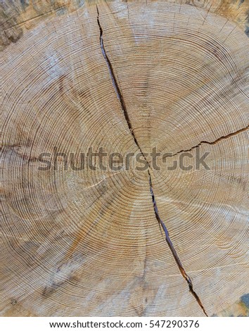 Close-up background of wooden cut texture, vertical shot