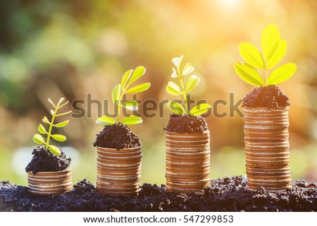 Growing plant on row of coin money , csr in business Royalty-Free Stock Photo #547299853