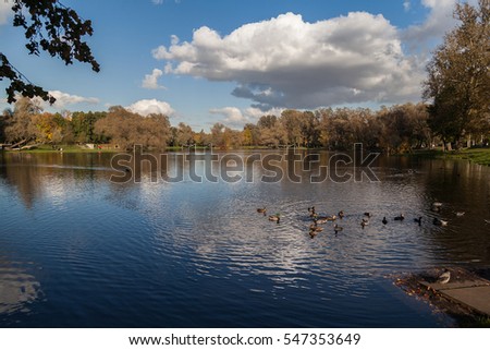 Autumn park with small lake landscape