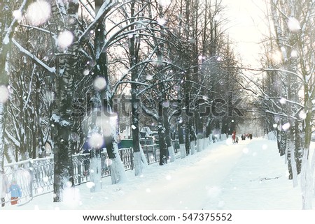 tree pathway street winter snow