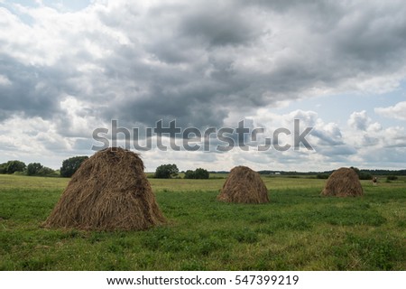 Summer harvest and landscape