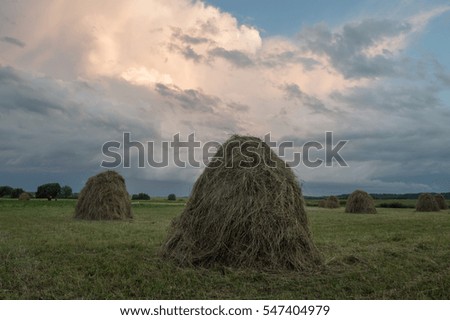 Harvest and stormy clouds