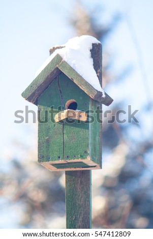 birdhouse for birds wintering nest birdhouse from a tree made by human hands