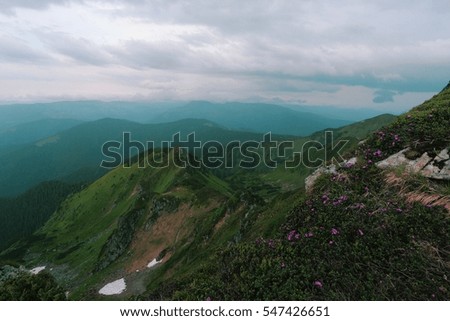 summer mountains landscape