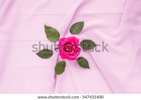 Pink rose and leaf on lilac background. Flat lay, top view.
