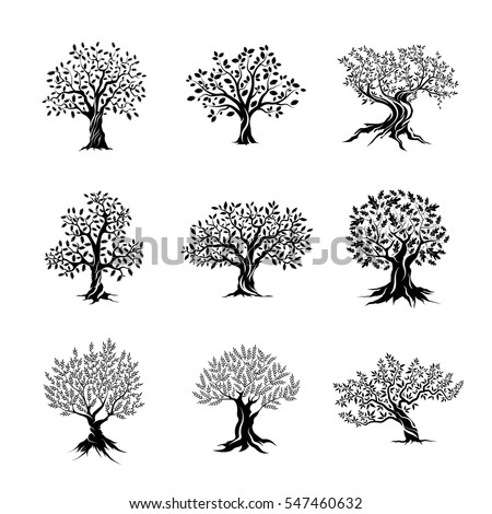 Beautiful magnificent olive and oak trees silhouette isolated on white background. Web infographic modern vector tree sign. Premium quality illustration logo design concept pictogram set.