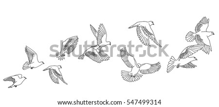 Banner with hand drawn white pigeons or doves