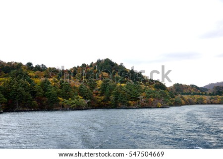 Deciduous trees and shrubs  with various  colored foliage in autumn . This picture was taken in september  at Towada lake , Japan.