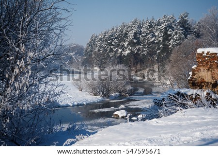 Sunny winter day on the river. Trees in snow. Sunny winter landscape. Frosty air. 