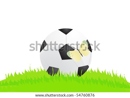 Vector illustration of soccer ball with butterfly