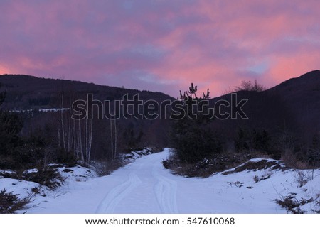 Winter landscape with road and trees


