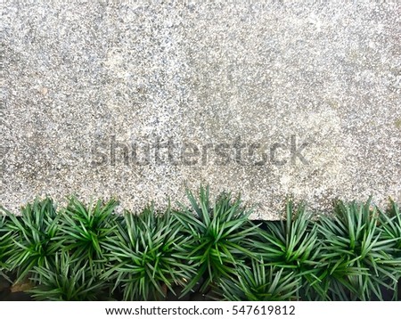Gray concrete texture with green grass.