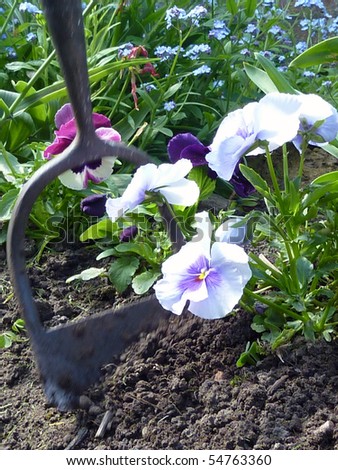 Closeup of garden flowers with moving hoe